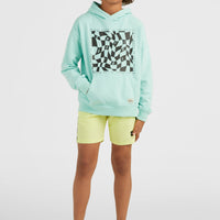 Hoodie Checker | Beach Glass