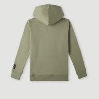 Hoodie Seaview | Deep Lichen Green