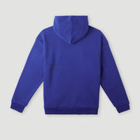 Hoodie Future Surf Society | Surf the web Blue