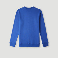 O'Neill Crew Sweatshirt | Surf the web Blue