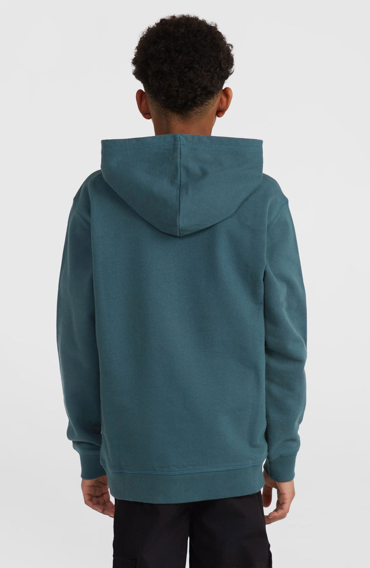 Front Print hoodie | Alma Steel