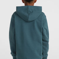 Front Print hoodie | Alma Steel