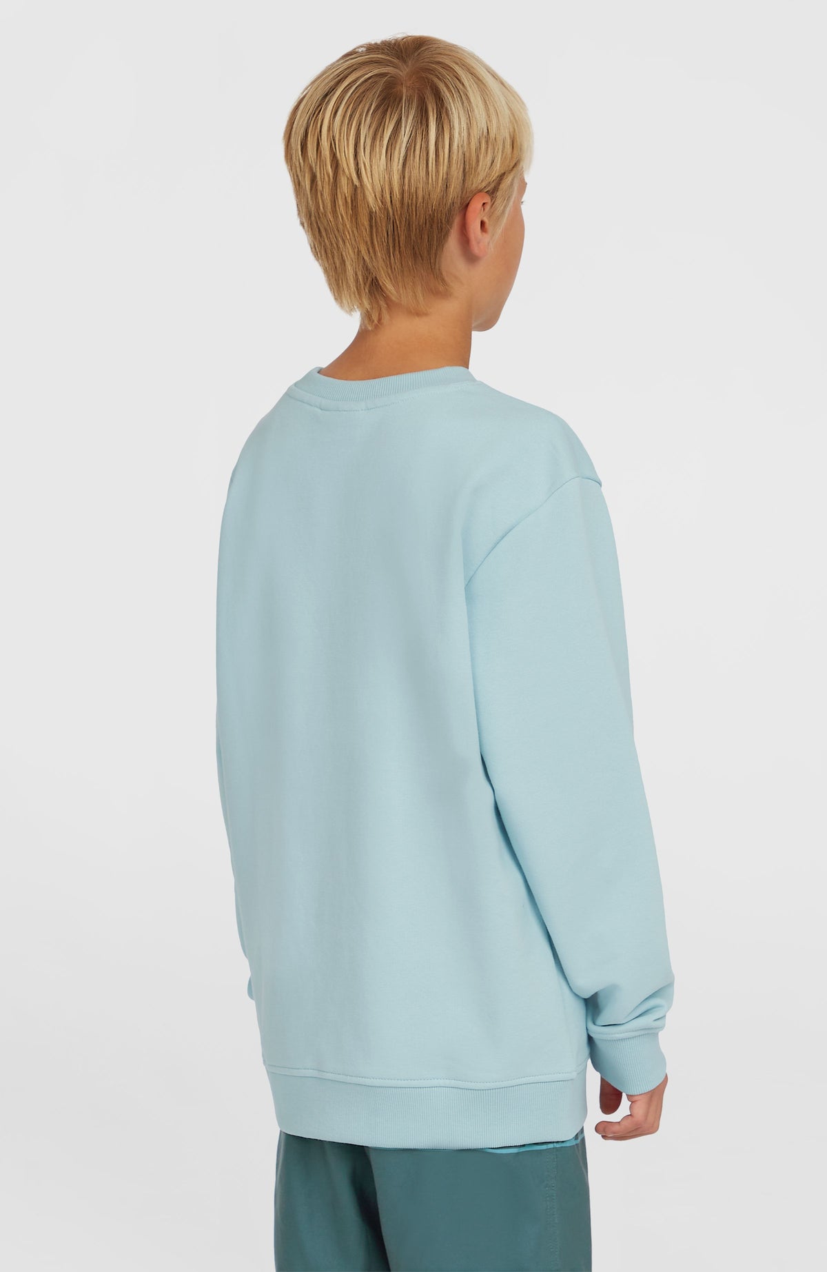 Logo Crew sweater | Morning Glory