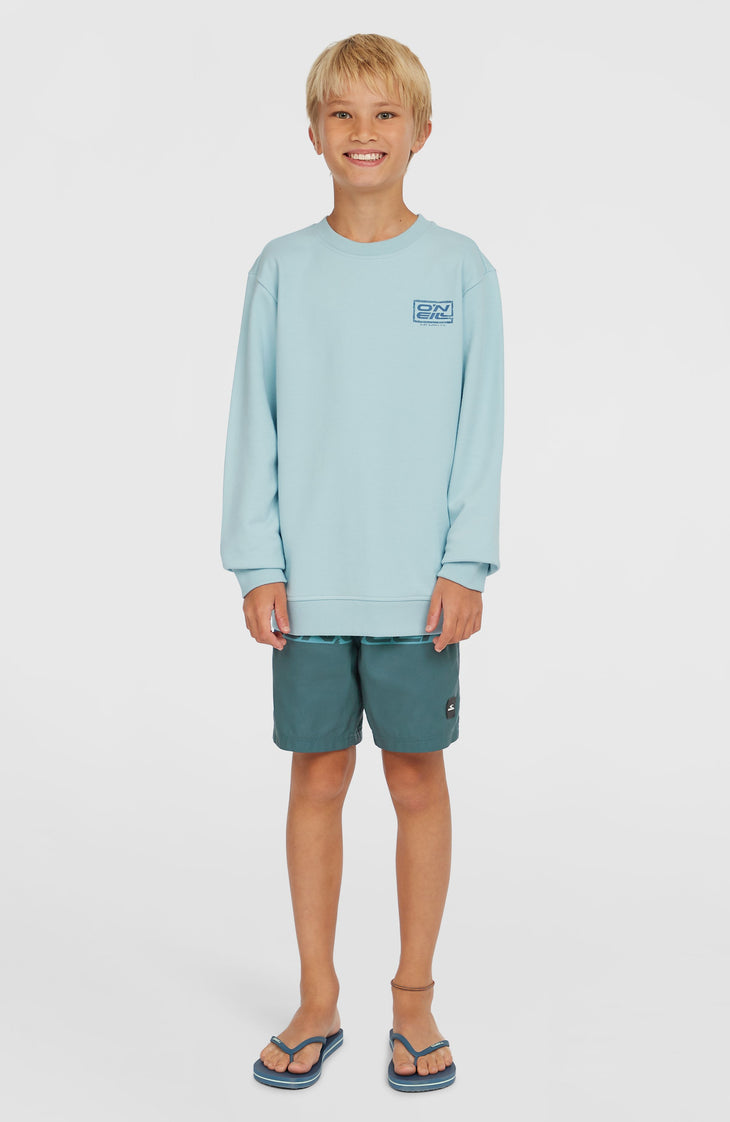 Logo Crew sweater | Morning Glory