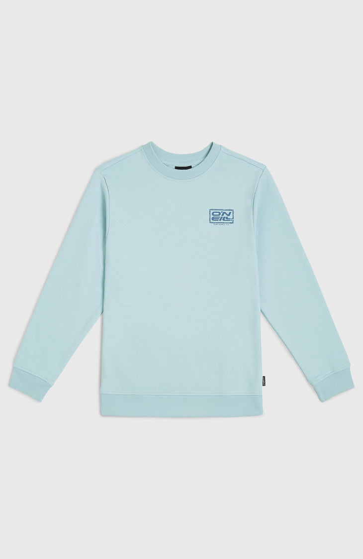 Logo Crew sweater | Morning Glory