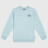 Logo Crew sweater | Morning Glory