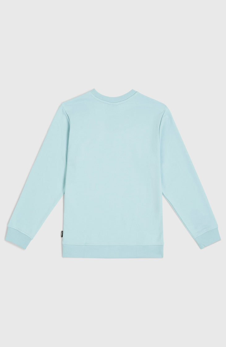 Logo Crew sweater | Morning Glory