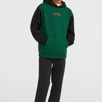 FWC'Play hoodie | Emerald Envy Colour Block