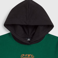 FWC'Play hoodie | Emerald Envy Colour Block