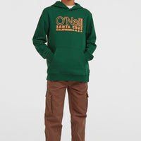 Essentials hoodie | Emerald Envy