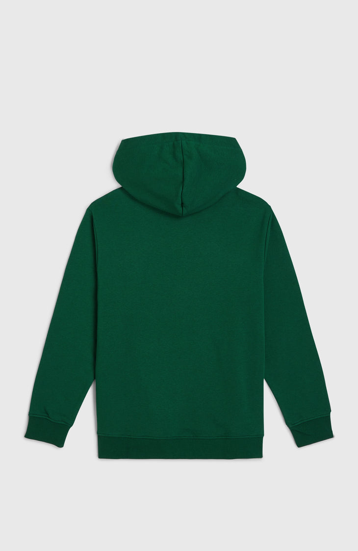 Essentials hoodie | Emerald Envy