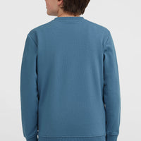 Essentials Crew sweater | Mozart Blue