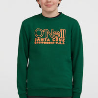 Essentials Crew sweater | Emerald Envy