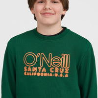 Essentials Crew sweater | Emerald Envy