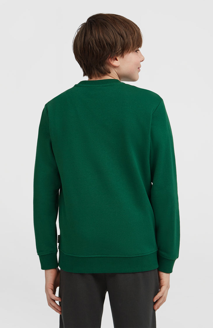 Essentials Crew sweater | Emerald Envy
