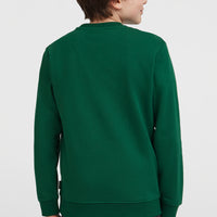 Essentials Crew sweater | Emerald Envy