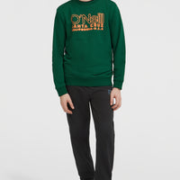Essentials Crew sweater | Emerald Envy