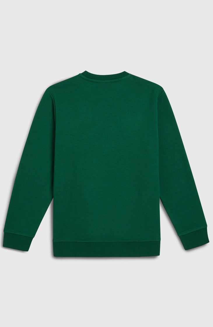 Essentials Crew sweater | Emerald Envy