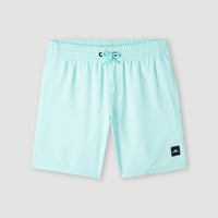 Future Surf Society 14'' Zwemshort | Beach Glass