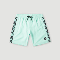 Zwemshort Cali Panel 14'' | Beach Glass Colour Block