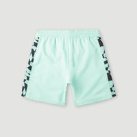 Zwemshort Cali Panel 14'' | Beach Glass Colour Block