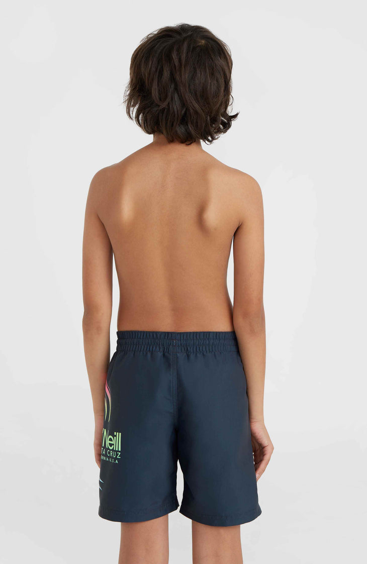 Circle Surfer 14'' zwembroek | Outer Space Circle Surfer Grandient Panel