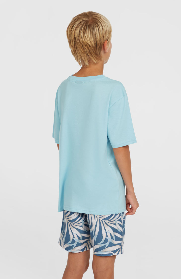 Cali 14'' zwembroek | Blue Dipped Leaves