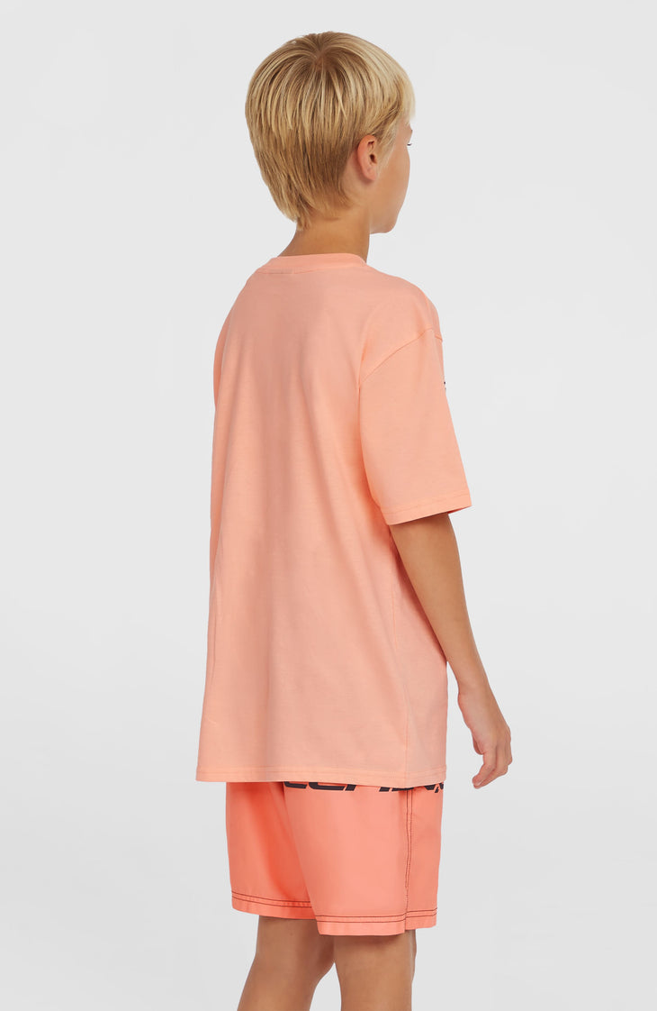 Cali Stripe 14'' zwembroek | Coral Upside Down