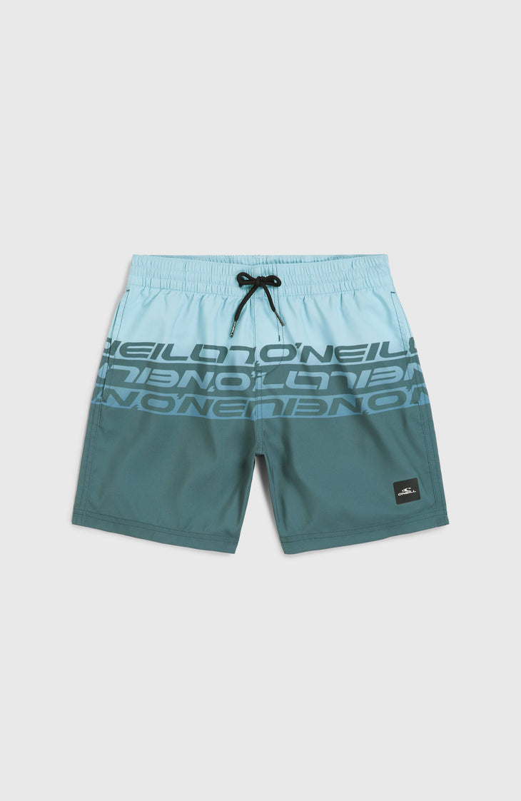 Cali Stripe 14'' zwembroek | Blue Upside Down