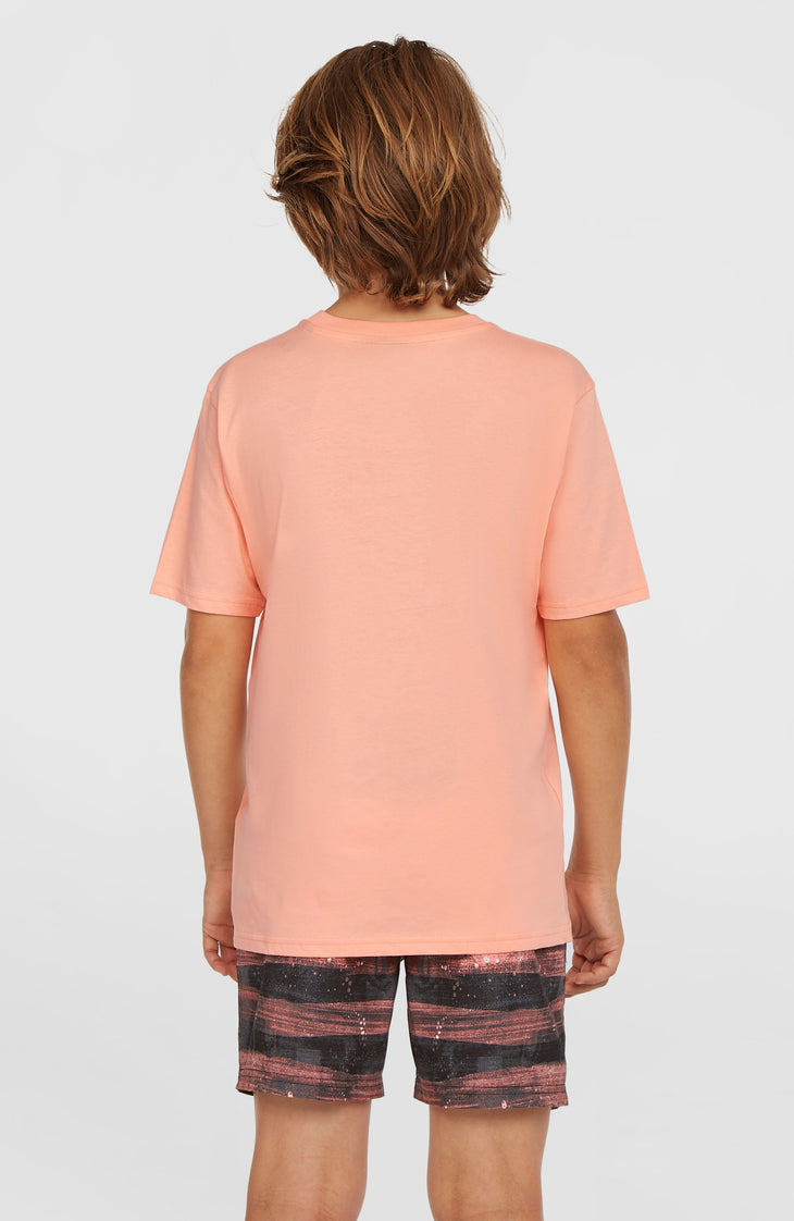 Cali Gradient 14'' zwembroek | Coral Melted Texture