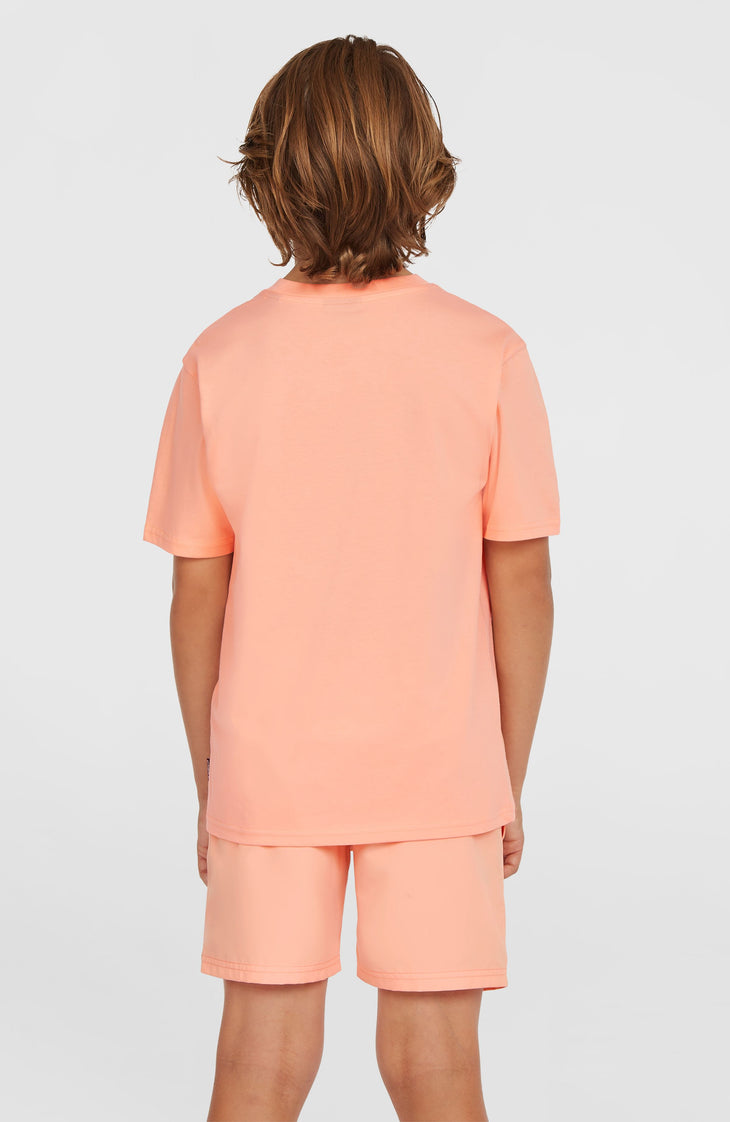 Original Cali 14'' zwembroek | Coral Pop