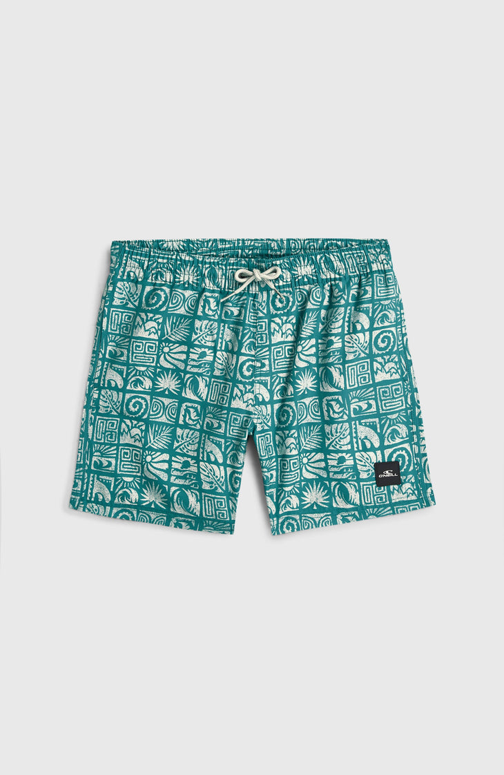 O'Neill Print zwembroek | Blue Bricks