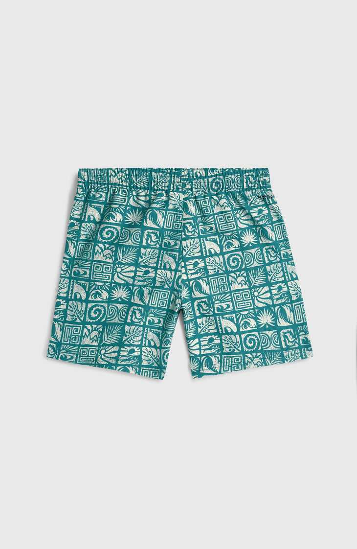 O'Neill Print zwembroek | Blue Bricks