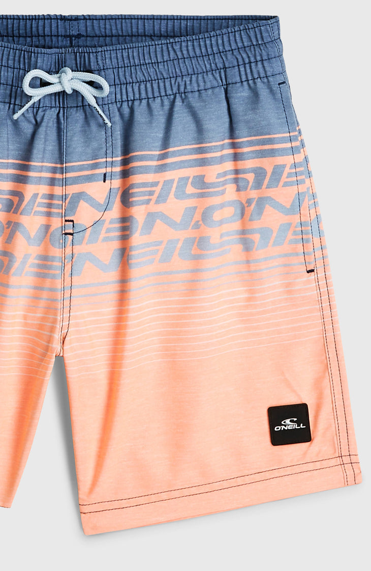 O'Neill Logo Stripe zwembroek | Boys Purple Heritage O'Neill