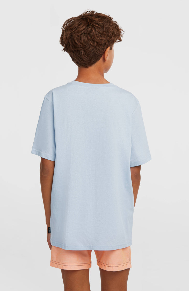 O'Neill Logo Stripe zwembroek | Boys Purple Heritage O'Neill