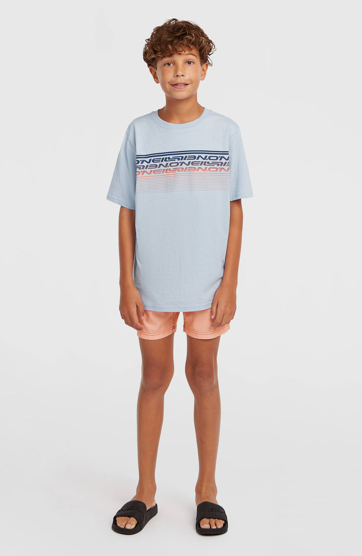 O'Neill Logo Stripe zwembroek | Boys Purple Heritage O'Neill