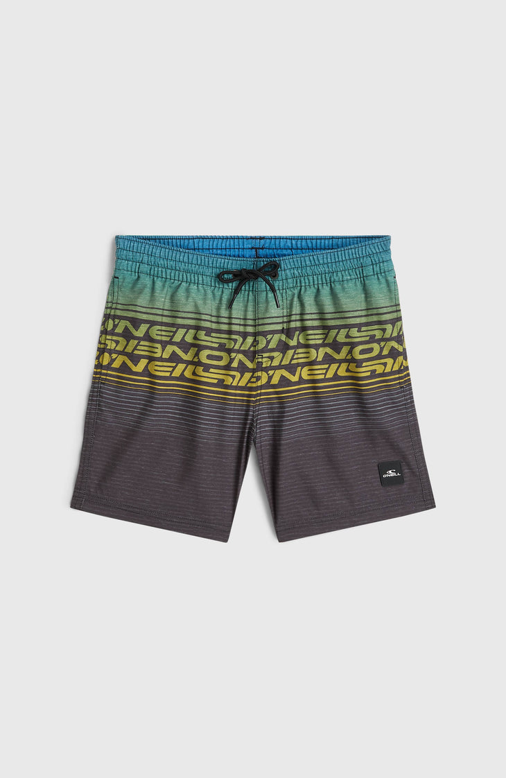 O'Neill Logo Stripe zwembroek | Boys Blue Heritage O'Neill
