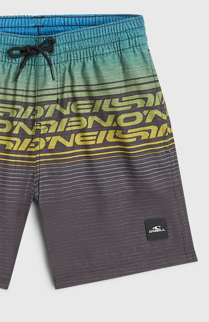 O'Neill Logo Stripe zwembroek | Boys Blue Heritage O'Neill