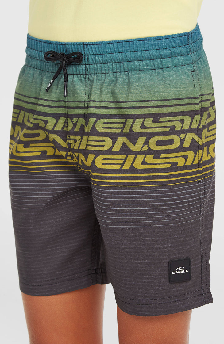 O'Neill Logo Stripe zwembroek | Boys Blue Heritage O'Neill