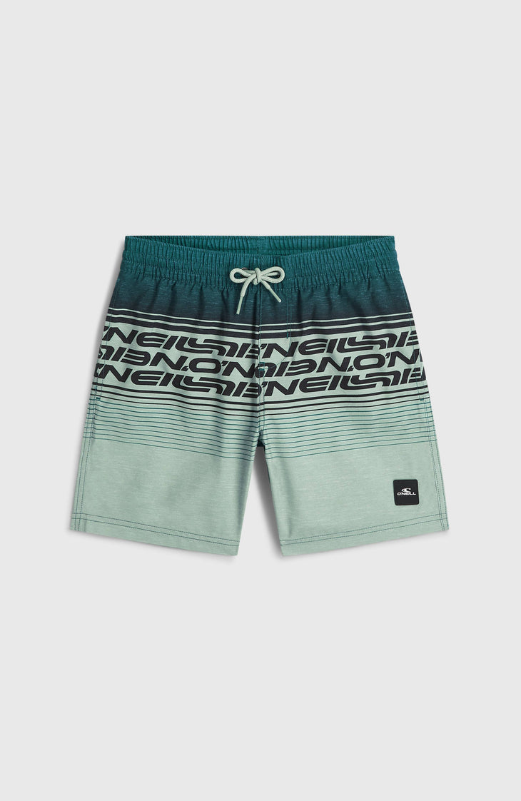 O'Neill Logo Stripe zwembroek | Boys Green Heritage O'Neill