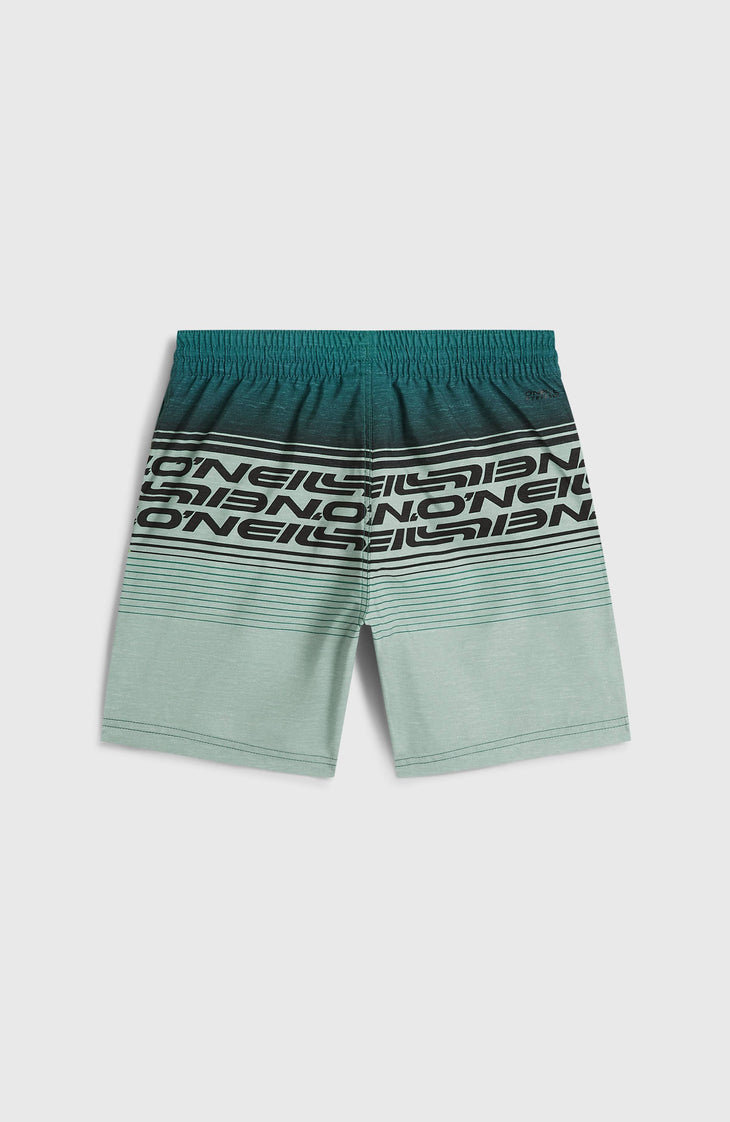 O'Neill Logo Stripe zwembroek | Boys Green Heritage O'Neill