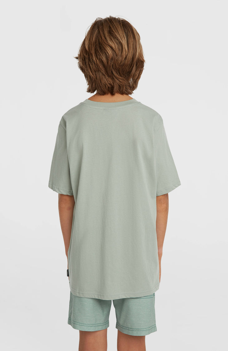 O'Neill Logo Stripe zwembroek | Boys Green Heritage O'Neill