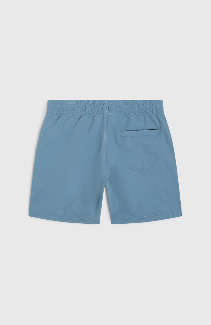 O'Neill Vert zwembroek | Copen Blue