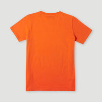 Cube T-Shirt | Puffin's Bill