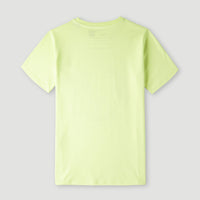 Blend T-shirt | Sunny Lime