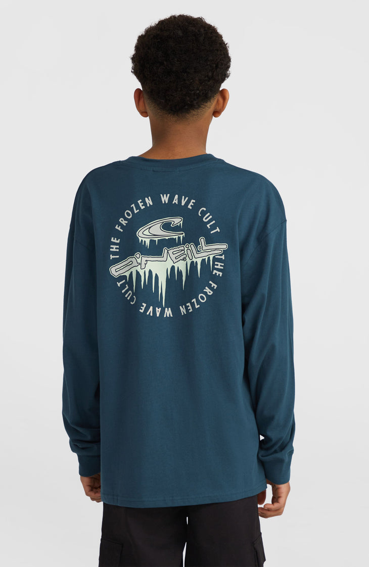 Graphic shirt met lange mouwen | Alma Steel