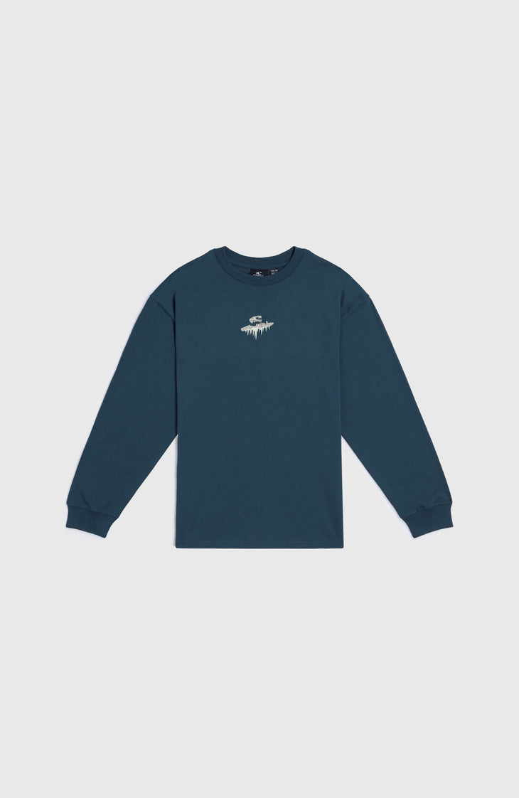 Graphic shirt met lange mouwen | Alma Steel