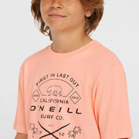 Jack O'Neill Muir T-shirt | Coral Pop