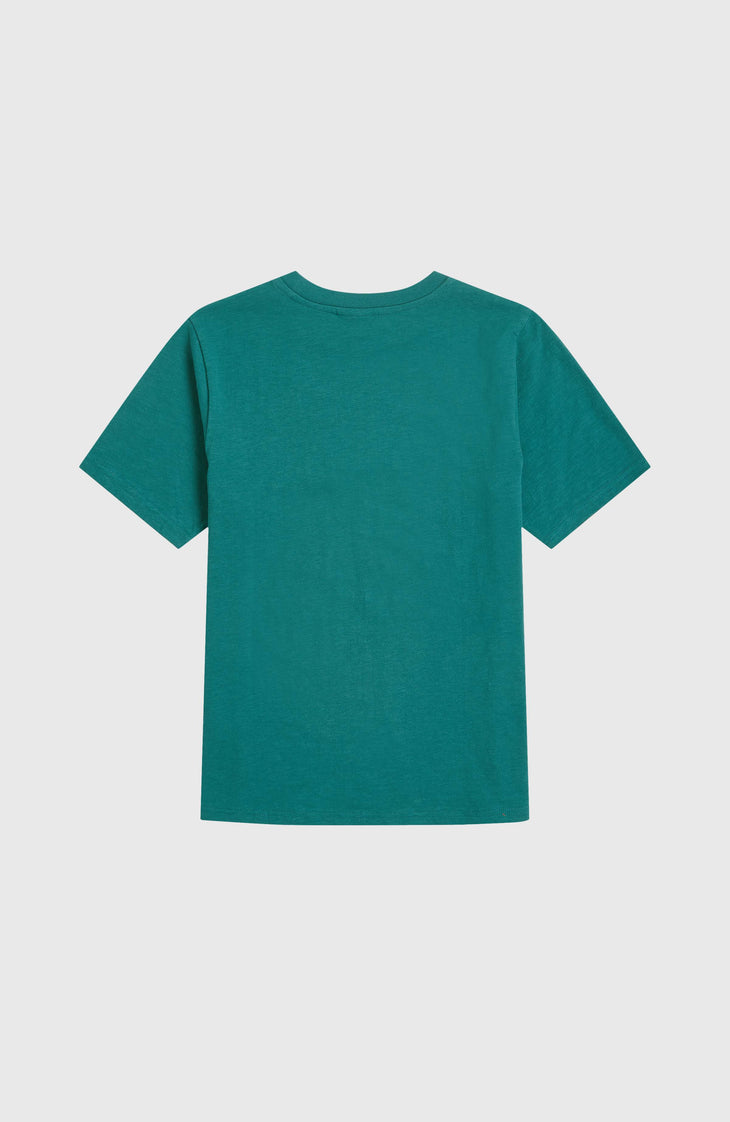 Slub Graphic T-shirt | Botanical Heat