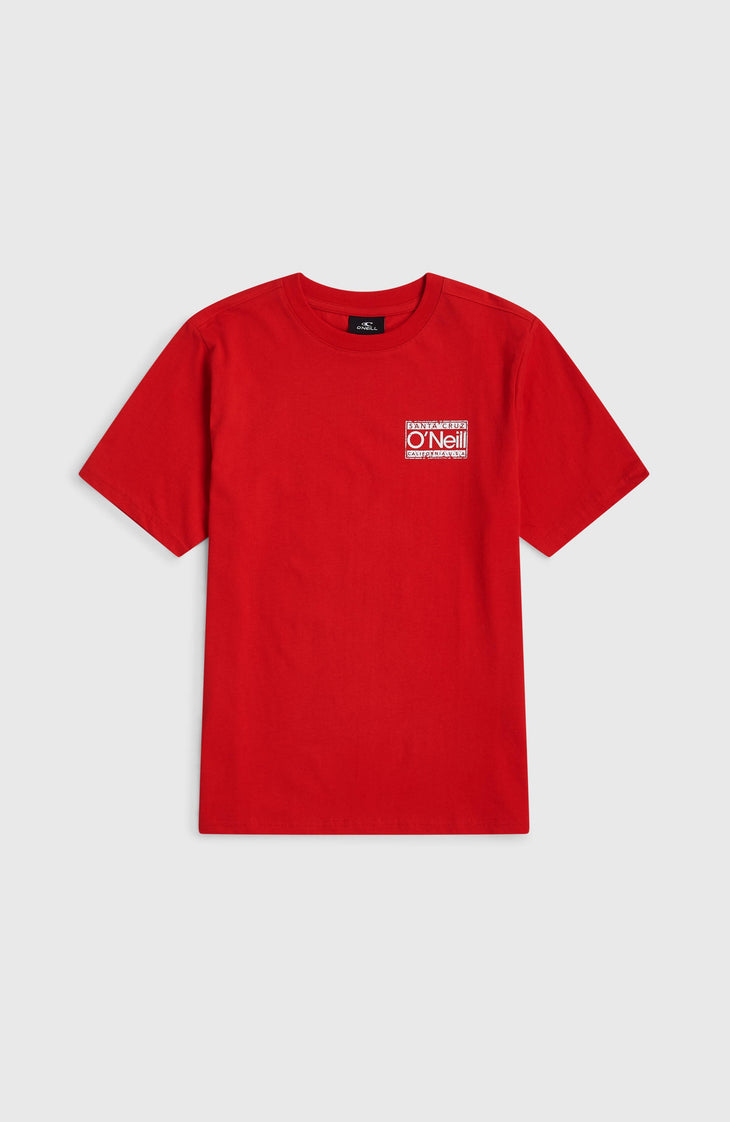 O'Neill Cali T-shirt | High Risk Red